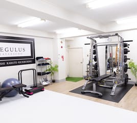 【茅場町、水天宮駅徒歩5分】スミスマシン、ダンベル、グローブ・ミット、完備の完全個室ジム パーソナルジムレグルス