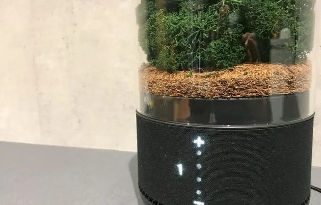 本物のコケを利用した空気清浄機