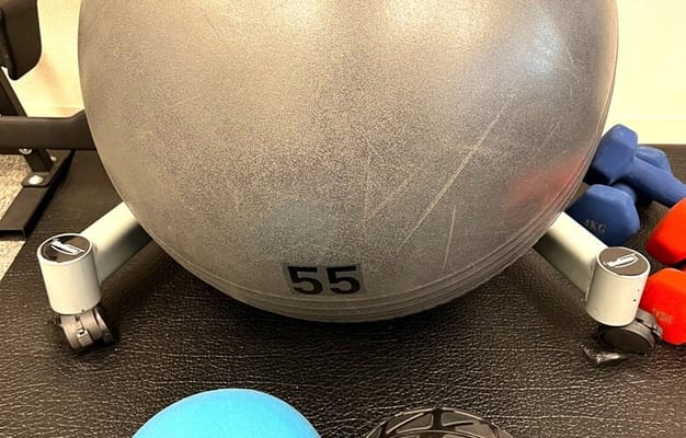 バランスボール、 ヨガボール、メディシンボール 3kg （La-VIE：ラヴィ)