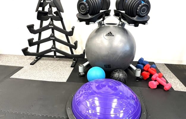 可変式ダンベルset、ダンベル各種、バランスボール、ヨガボール、メディシンボール 3kg （La-VIE：ラヴィ)、マルチグリップ5本set