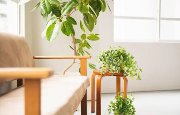 リラックスできるラウンジスペース。大きな窓と観葉植物が、心地よい空間を作り出している。