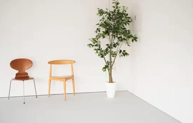 ナチュラルなインテリアと観葉植物が魅力のシンプルなスペース。落ち着いた雰囲気で、リラックスできる環境。