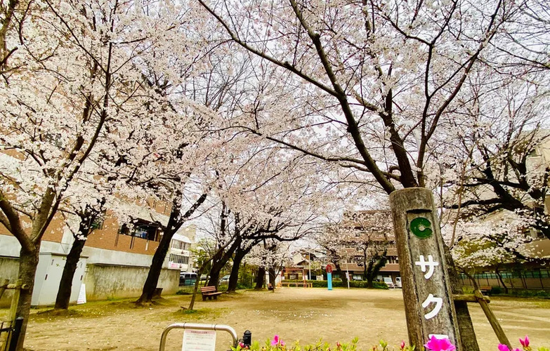 スタジオ近くにサクラ公園がありますので目印にしてください